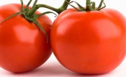 Pros and cons of hybrid tomato Snowman F1