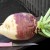 Unusual and delicious recipes for cooking rutabagas from experienced housewives