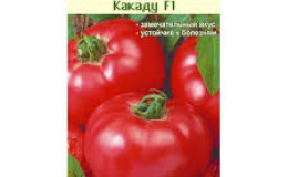 A bright decoration on your beds - tomato