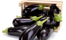 How to store eggplants at home until winter correctly