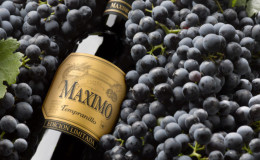 Famous low-calorie tempranillo grape