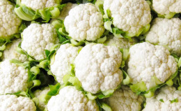 Cauliflower does not tie in the open field: why it happens and what to do