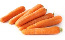 Sweet mid-season carrot of Nantes 4