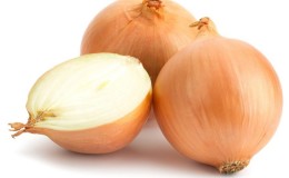 Medium early hybrid of Helenas onion with high yield