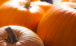 How to store pumpkin correctly: different ways and secrets of creating optimal conditions for the safety of a vegetable