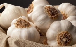 What is spring garlic and how to grow it correctly: a step-by-step guide and secrets of experienced gardeners