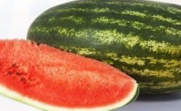 Early ripe hybrid watermelon