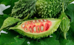 Overview of Chinese Bitter Melon (Momordiki)