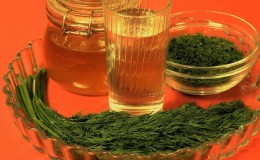 What does the dill decoction help from, how to cook and use it correctly