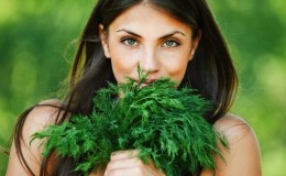 Dill for women: what is good for the body