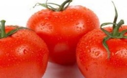 Why tomato