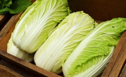 Is it possible for a young mother to eat Chinese cabbage while breastfeeding