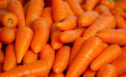 Can there be an allergy to carrots, how it manifests itself and how is it treated?