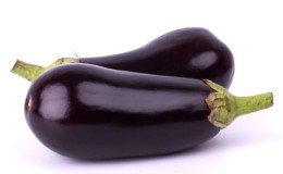 Heat-loving hybrid of eggplant