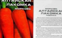 A sweet, delicate variety of carrots Altai gourmet