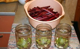The best ways to harvest beet leaves for the winter and recipes from them
