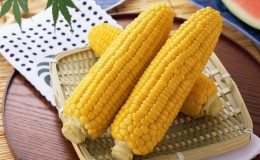 Is it possible to eat boiled corn for gastritis: arguments for and against, contraindications