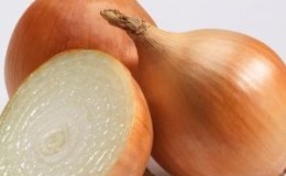 Early high-yielding hybrid of Cupido onions for greenhouse and outdoor cultivation