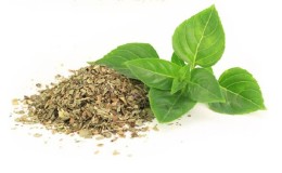 How to properly prepare basil for the winter at home in different ways