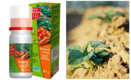 How to Apply Weed Killer Herbicides on Potatoes