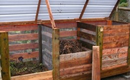Is it possible to put potato tops in a compost heap and how else to apply it on the site