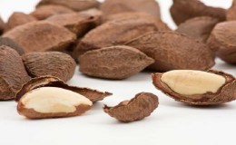 Benefits of Brazilian Nut for Women
