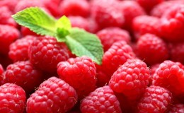 How to dry raspberry berries and leaves at home