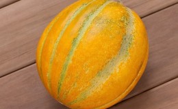 Why is Ethiopka melon good and why it is worth trying to grow it yourself