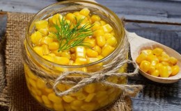 Where and how to store boiled corn correctly: different ways and terms of freshness