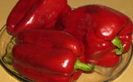 Hybrid pepper