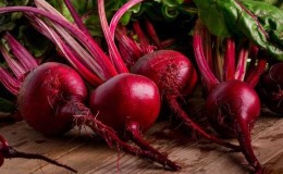 The healing properties of red beets and contraindications to its use