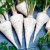 Why root parsley is good and why it is worth growing