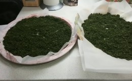 A step-by-step guide to fermenting currant leaves for tea at home