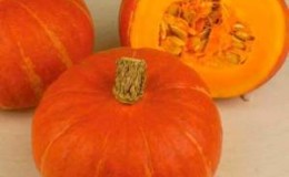 Orange-red Hokkaido pumpkin with nutty flavor and high content of vitamins and fiber