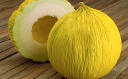 Why melon tastes bitter and can it be eaten