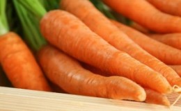 Shelf life of carrots in the refrigerator and how to do it right