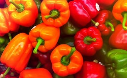 Where and how to keep bell peppers for the winter: fresh, frozen, dried, dried and canned