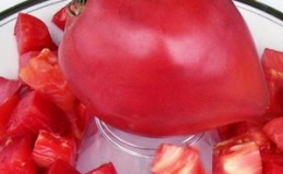 An early ripe hybrid variety from Siberian breeders - the Obskie Kupola tomato and reviews of summer residents about these tomatoes