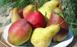The sweetest and juiciest pear varieties