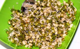 A real find for losing weight and raw foodists: how to germinate mung bean at home and how to eat it correctly