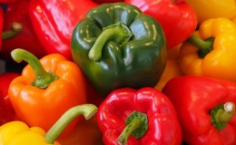 Top best early sweet peppers for open field and greenhouses