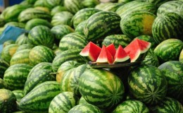 The names of early varieties of watermelons for open ground and reviews about them