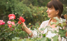 We take care of roses in the garden in summer so that they bloom luxuriantly and for a long time