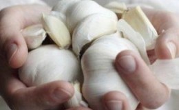 Secrets of Effective Home and Commercial Garlic Growing as a Business