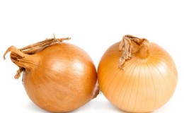 High-yielding onion hybrid with amazing taste -