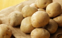 Medium early potato variety