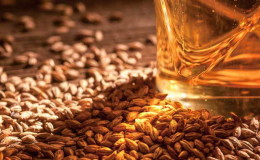 How to make barley malt at home