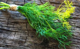 Review of the best varieties of dill for greens and umbrellas, recommendations for their correct choice