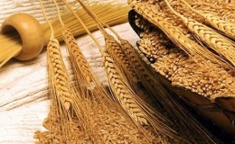 What are the features of durum wheat flour, how to choose and use it