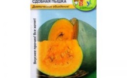 An ideal hybrid for cooking delicious dishes - pumpkin